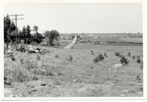 farmland with dirt road in background (black and white)