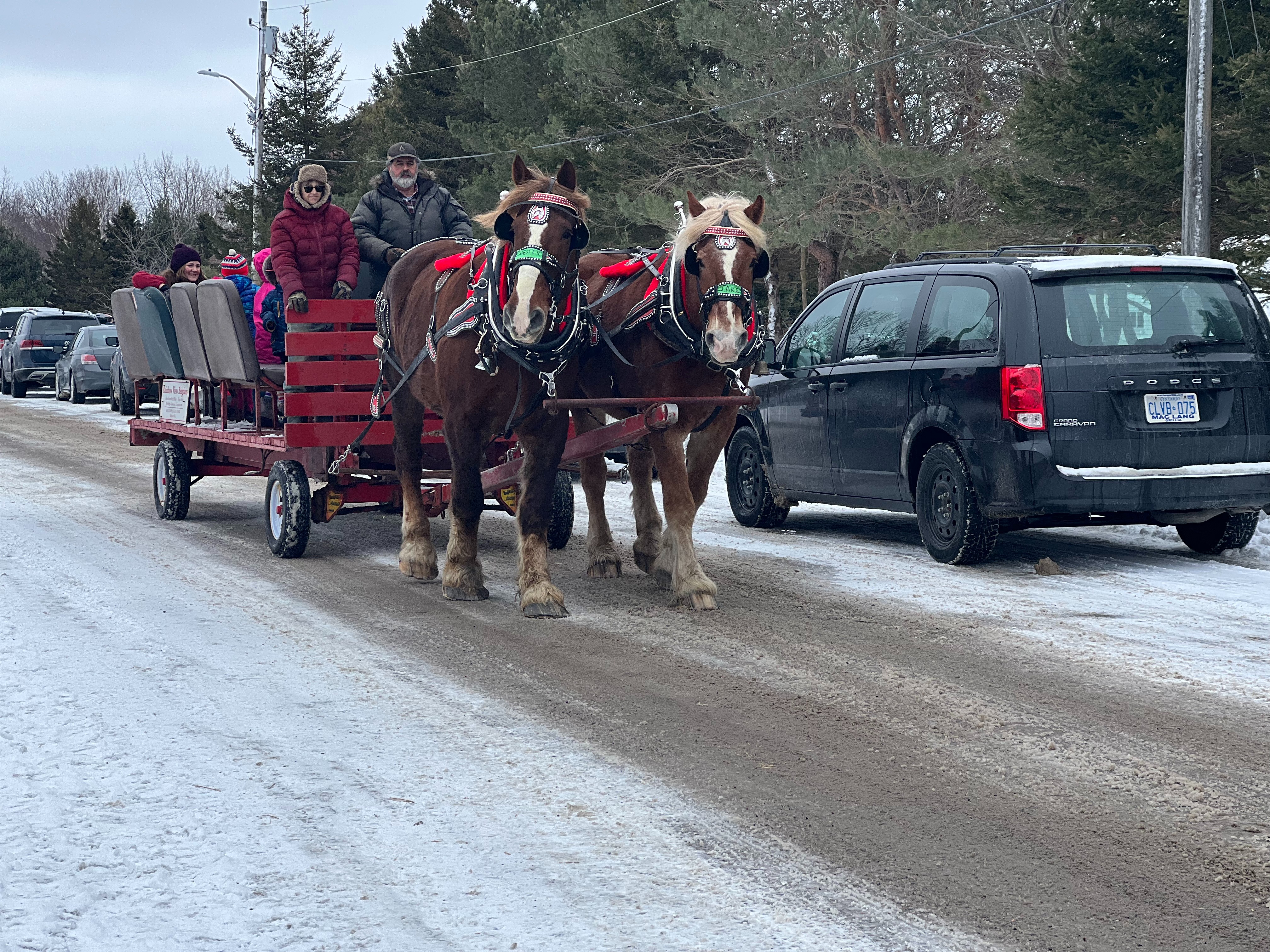 Photo of horse-drawn wagon rides 