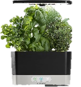 Photo of an AeroGarden