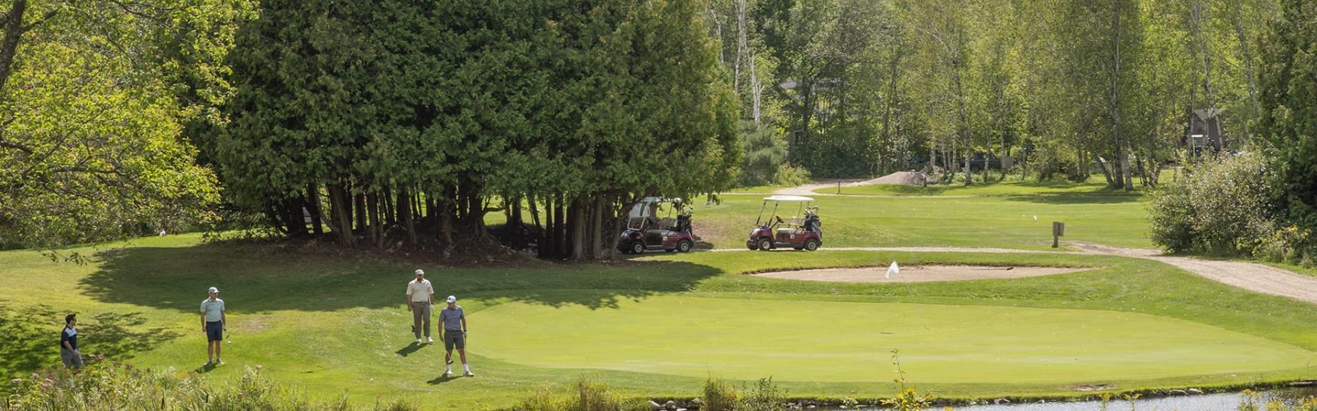 Landscape with golfers playing at the Mayor's Charity Golf Tournament event