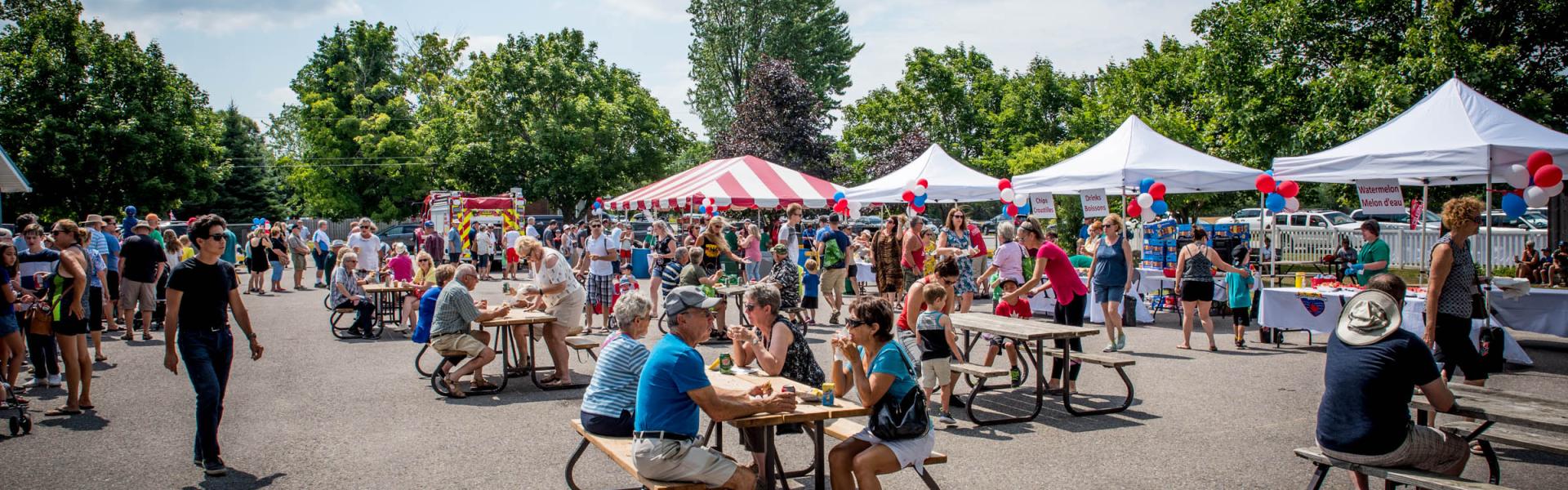 Community members gather at Perkinsfield Park for an event