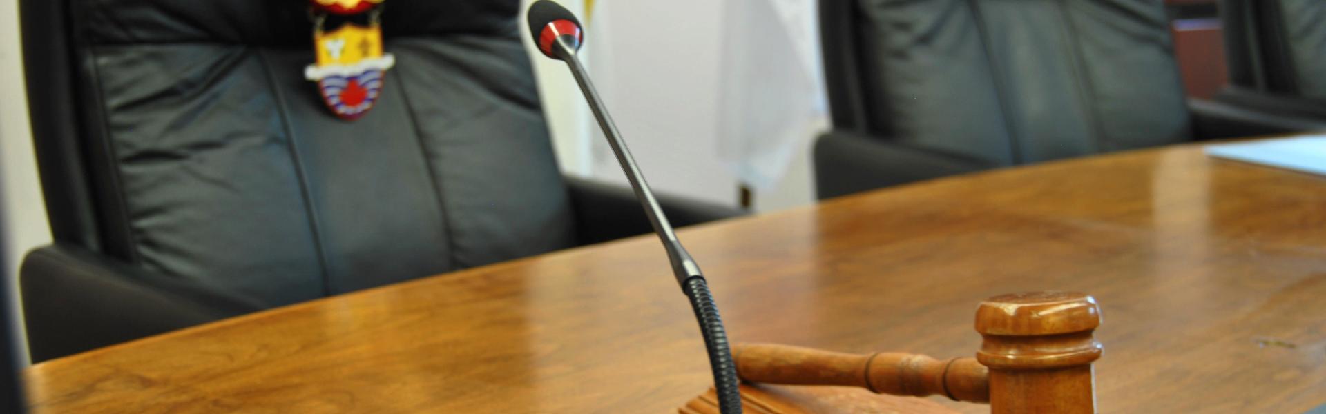 Council Mic and Gavel