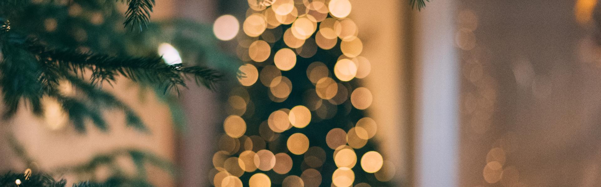 Photo of Christmas tree and lights. 