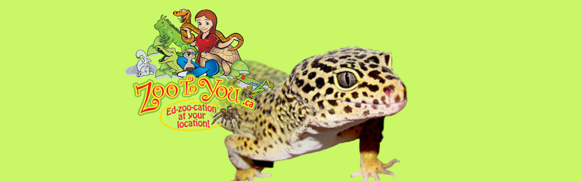 Zoo to You Logo