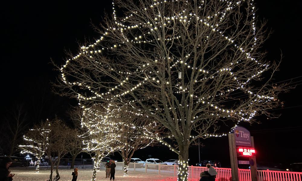 Tree Lighting Celebration 2023