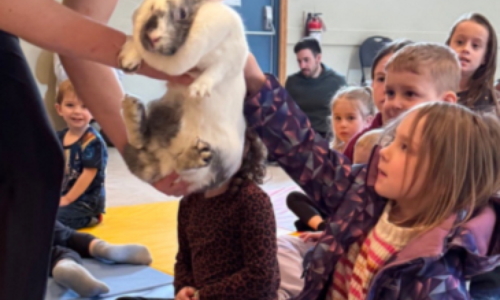 A group of kids attending Zoo to You