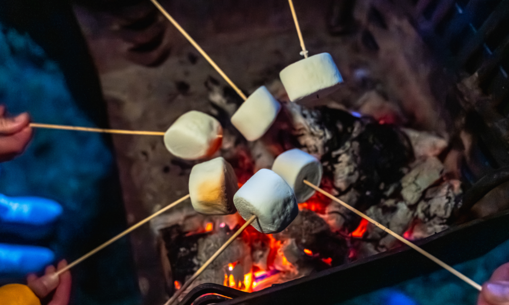 Campfire with Marshmallows on sticks