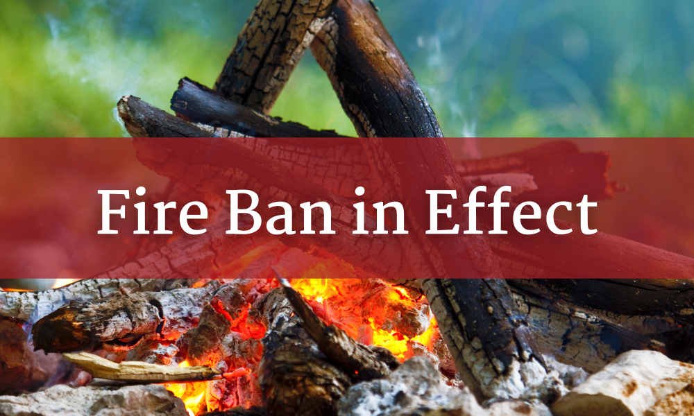 Campfire with coals and wood leaning on various pieces surrounded by rocks with Text over the top of the image that says Fire Ban In Effect