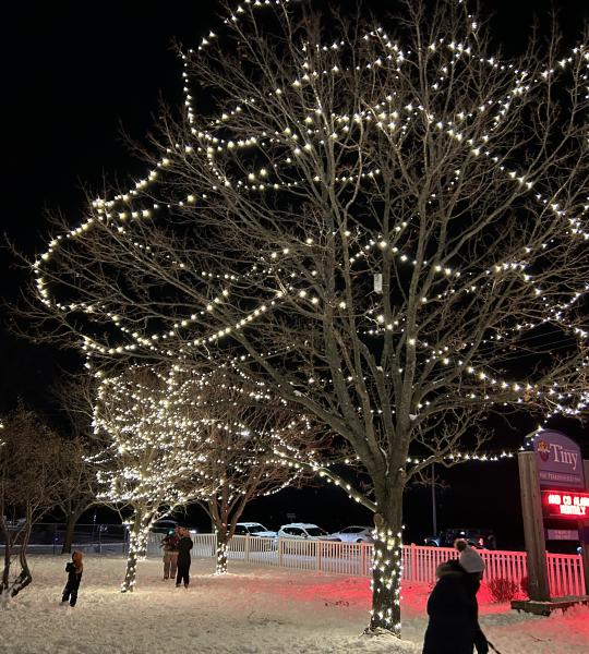 Tree Lighting Celebration 2023