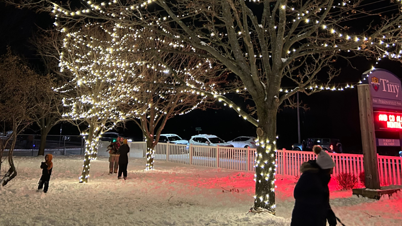 Tree Lighting Celebration 2023 - edit