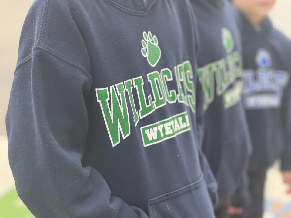 Wyevale Wildcats