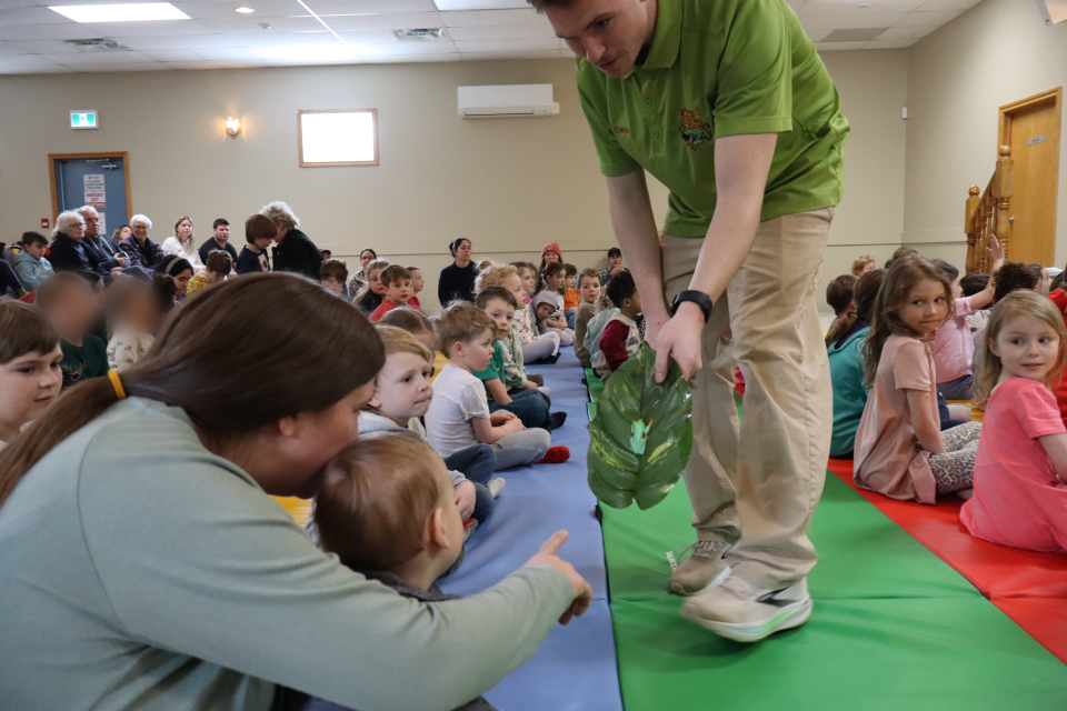 Zoo to You staff showing a mom and young child a bright green frog on a leaf