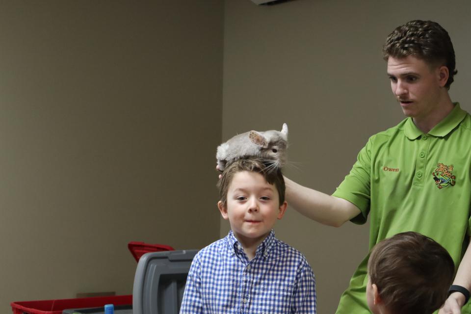 Boy with a chinchilla on their head with Zoo to You staff close by