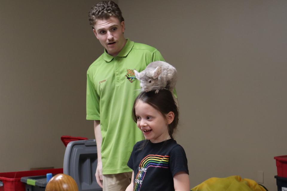 Child with a chinchilla on their head looking out to the crowd 