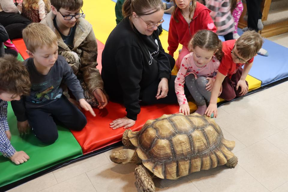Group of children and a parent watching the tortoise walk by the colourful floor mats