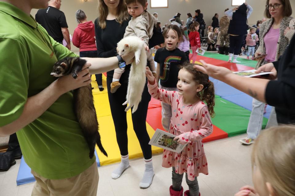 Young girl reaching up to pet a ferret that Zoo to You staff is holding