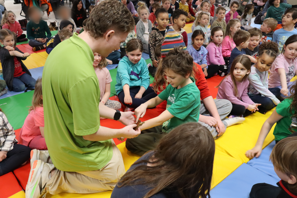 Zoo to You staff showing a small lizard to the group of children, with the lizard sitting on one child's arm