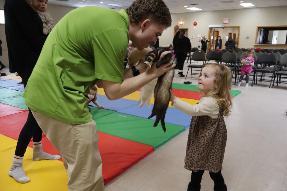 Young girl in a cheetah print dress petting the black and white ferret