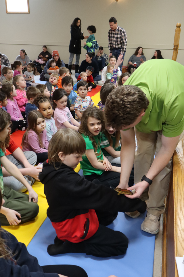Zoo to You staff placing a gecko on a child's arm