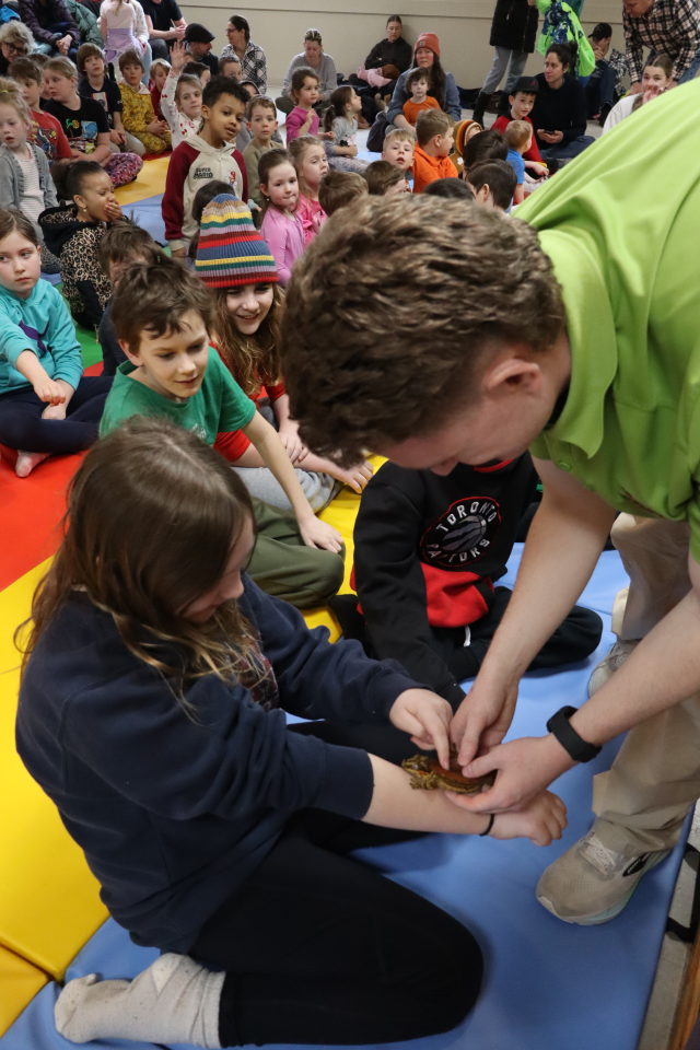 Zoo to You staff placing a gecko on a child's arm