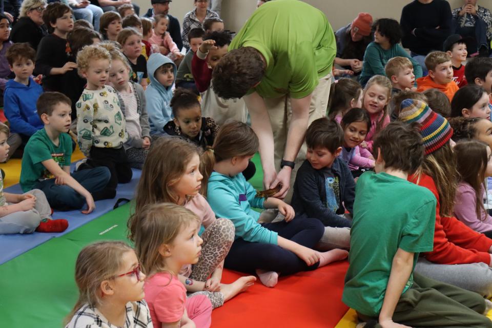 Zoo to You staff placing a gecko on a child's arm