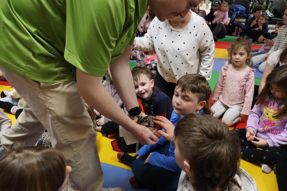 Children petting a sugar glider