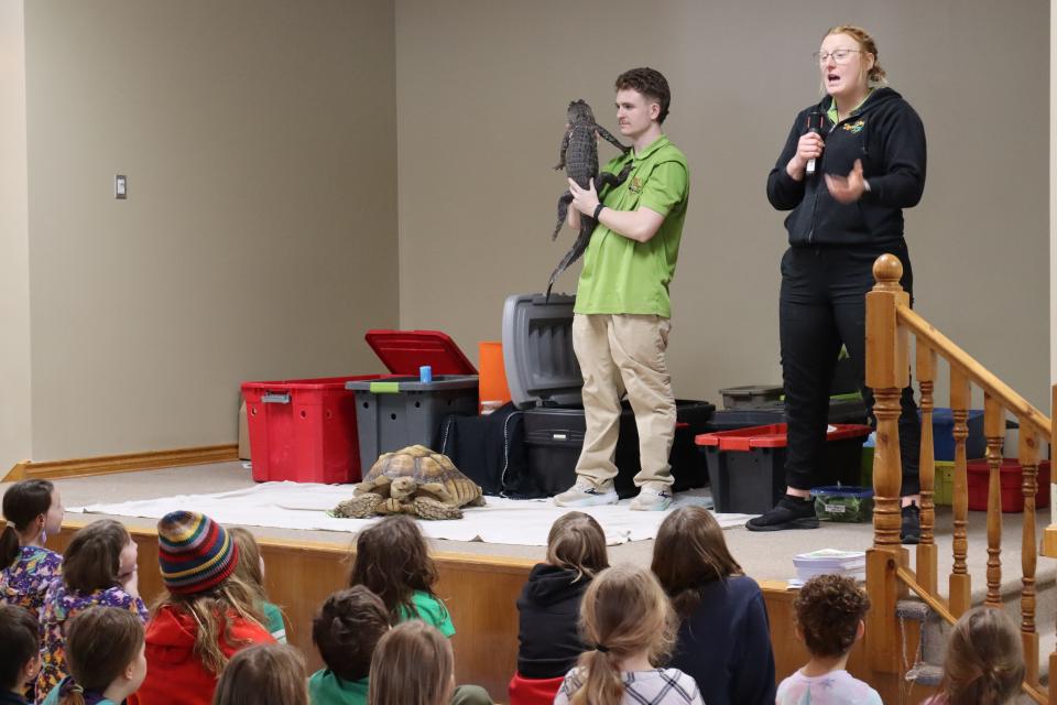 Zoo to You staff on stage with a small crocodile