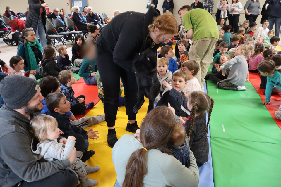 Zoo to You staff showing children a large black rabbit