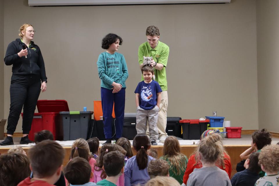 A chinchilla is being placed on a boy's head on stage by Zoo to You staff