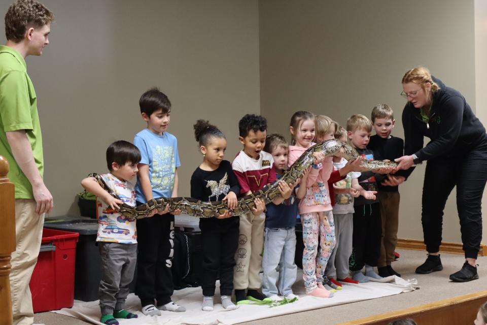 Group of children standing in a row holding a large snake with the help of Zoo to You staff