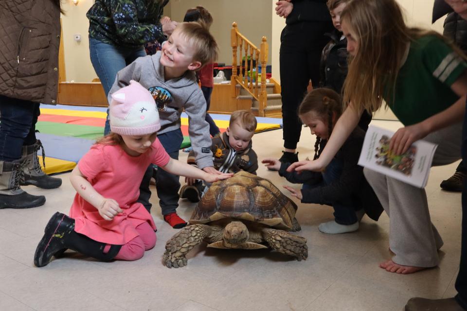 Children gathered around to pet the tortoise walking around on the floor
