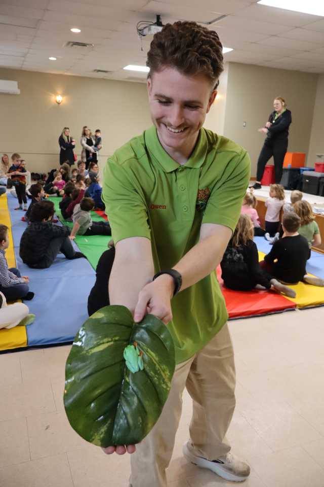 Zoo to You staff showing the camera the bright green frog on a large leaf