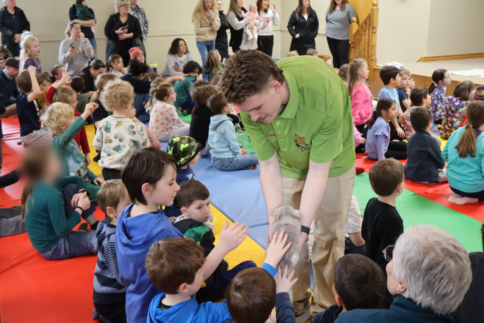 Zoo to You staff letting children pet a grey chinchilla 