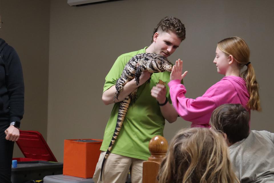 Child in a bright pink shirt getting a high five from the large lizard's nose
