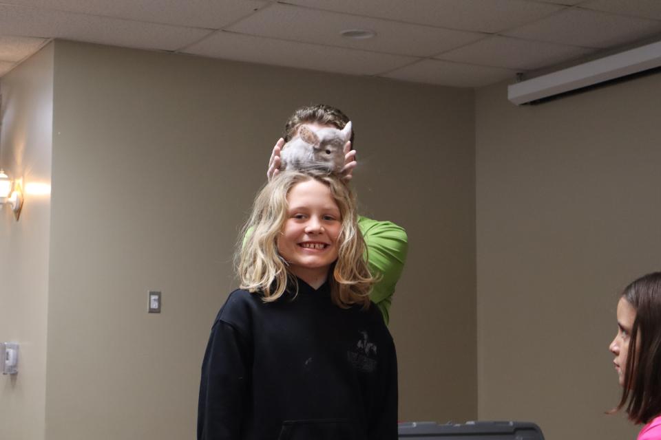 Child with a big smile with a chinchilla on their head