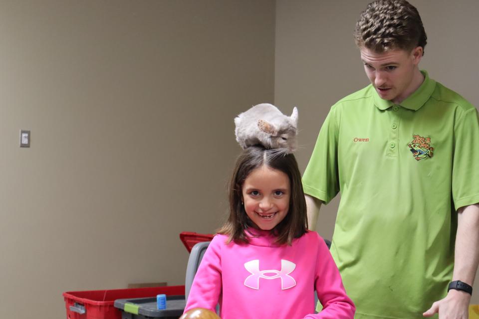 Child with a chinchilla on their head as Zoo to You staff look on
