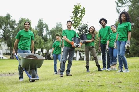 Group of volunteers planting trees in a park