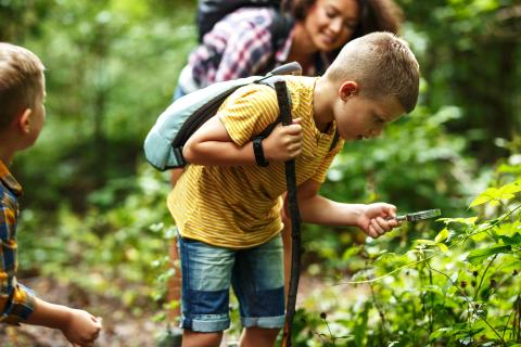 Boy using magnifying glass and looking at insects