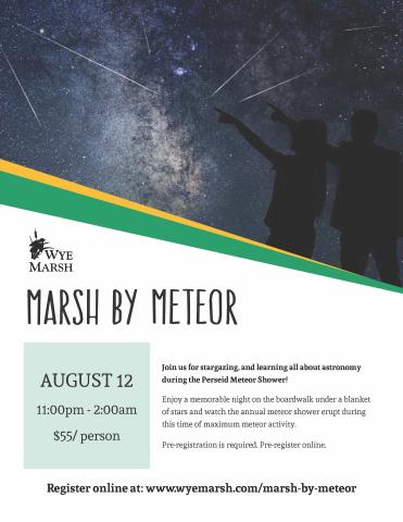 Marsh by Meteor Poster