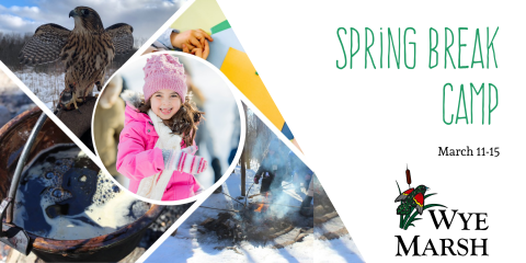 photo collage of spring activities and children