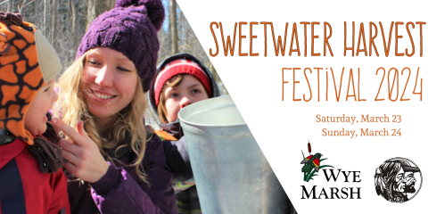 image of a mom giving their child maple water