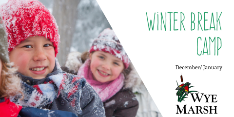 two children in snow gear smiling in the snow