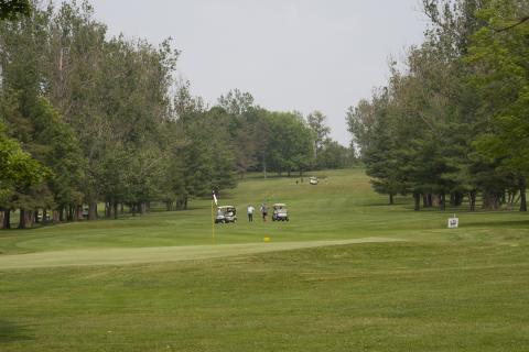image of a golf course with golfers in carts in the distance