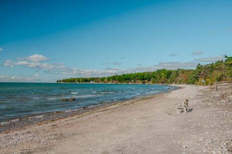 image of the view from woodland beach of the water, sand/rocks, bench, and trees in the background on a sunny day
