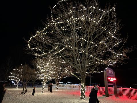 Tree Lighting Celebration 2023