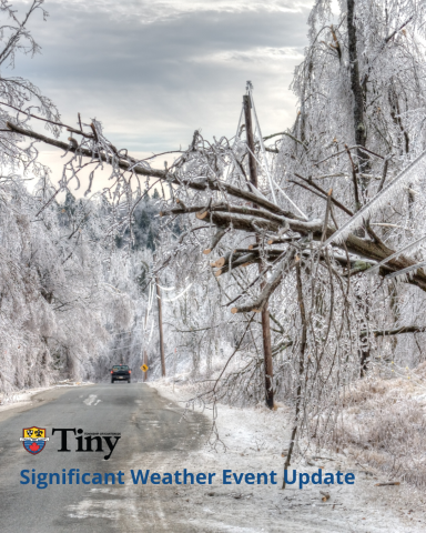 scenery showing fallen trees covered in ice on power lines