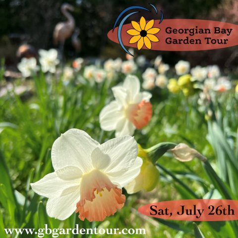 white flowers with text that reads Georgian Bay Garden Tour