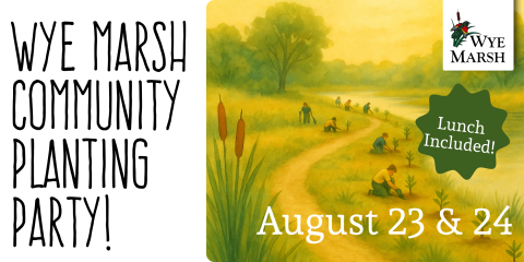 animated image of a rural pathway along a body of water with trees in the background, also includes the wye marsh logo and text reading wye marsh community planting party August 23 and 24, lunch included