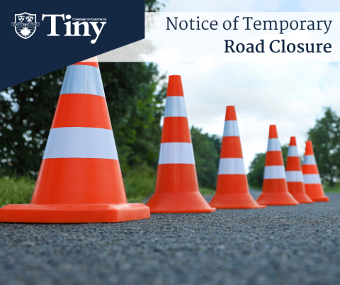 picture of traffic cones on a roadway