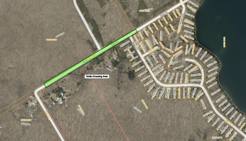 Map showing a highlighted section of Concession 18 East/Allport Road that is known as a high traffic turtle crossing area in Awenda Park